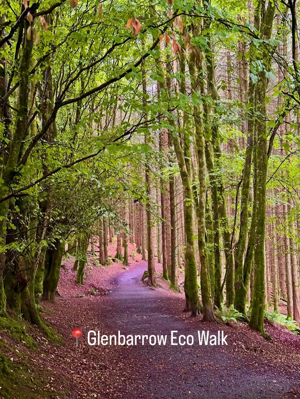Instagram post from bloominheathertravel. This post is in position 6.